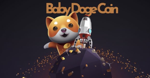 BabyDoge's tweet photo. @elonmusk https://t.co/jyRIV4P6jp