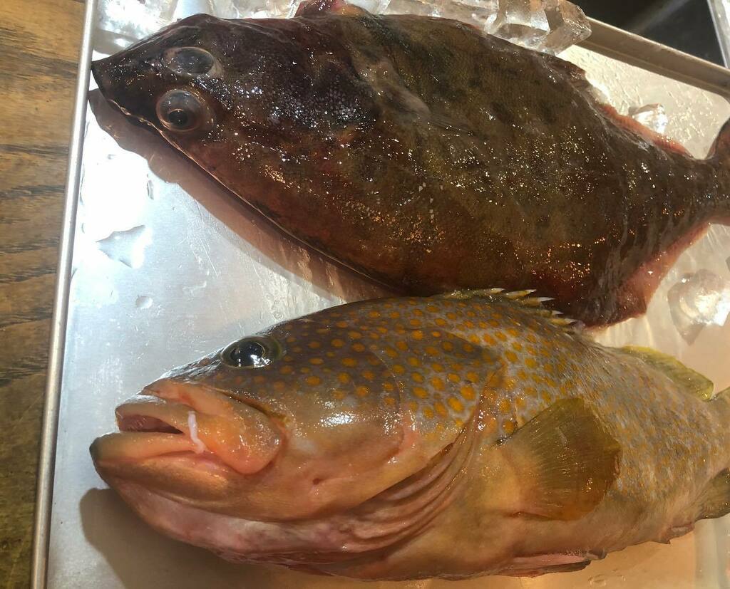 きょうや食堂 おはようございます 今日はハタ 赤ガレイを 仕入れました ハタはお刺身 赤ガレイは煮付けです ご来店お待ちしています 国立 谷保 定食 魚料理 T Co Drl3xddzsd T Co Wowyjfogdo Twitter