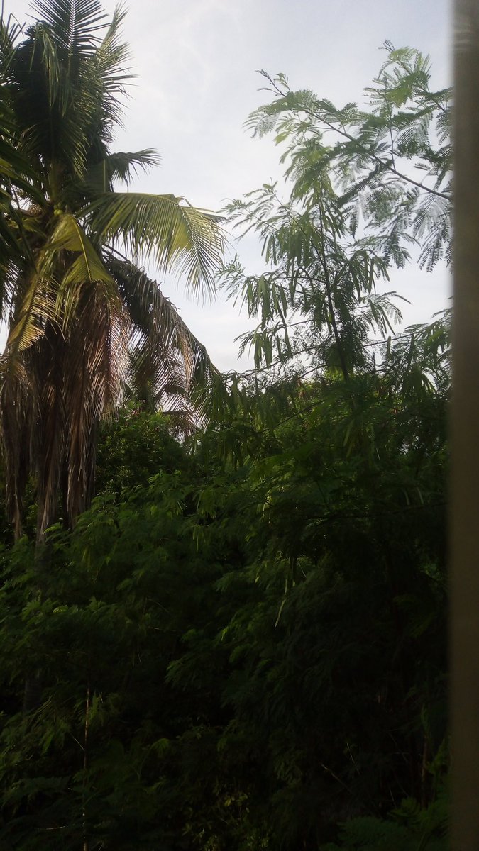 Selamat Pagi dr Kota Jambi. Siap2 nak lanjut perjalanan. Sy hanya lah seorg supir lintas yg umur stgh Abad. Menghargai perbedaan. Murni cari teman. Klu musuh di jalanan sdh byk. Ayo semangat di Senin Pagi.