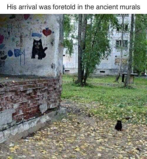 madvirtualizer's tweet photo. Tix, the chosen one. #BasementKitty #BlackCat https://t.co/raM1zf1frY