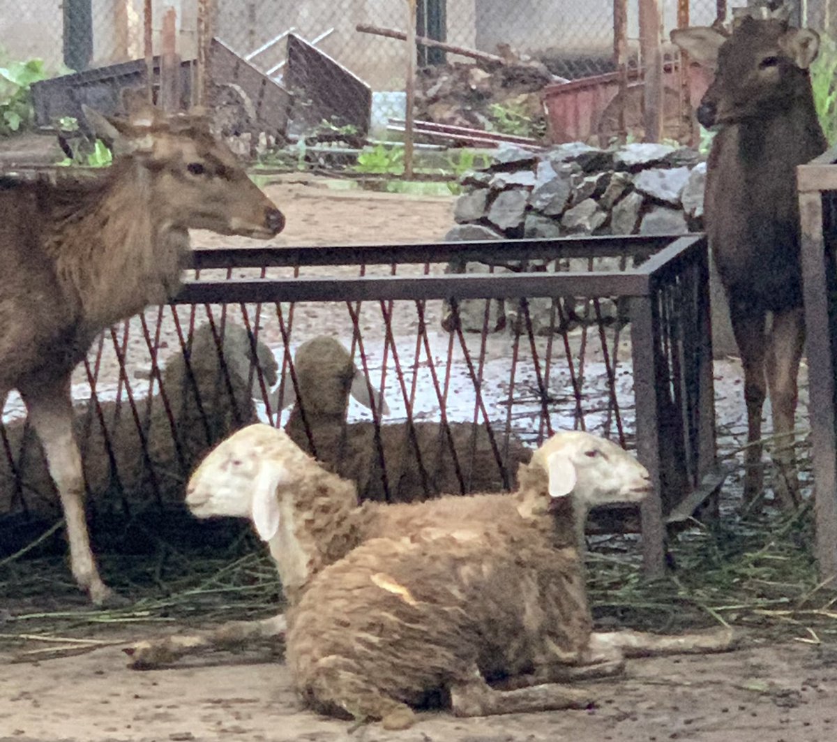 악인은 교만하고 정직하지 못하여 죽는다