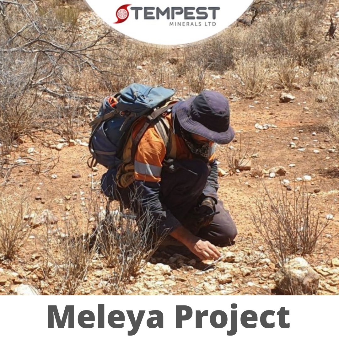 tempestminerals's tweet photo. Our Meleya project is located in the Yalgoo region, spanning 333 km2, and presents one of the most exciting base and precious metal exploration opportunities in Australia today.

Discover more: https://t.co/PtU0oLAkd4

#TempestMinerals #MeleyaProject #MiningAustralia https://t.co/h6z0a8OPz2