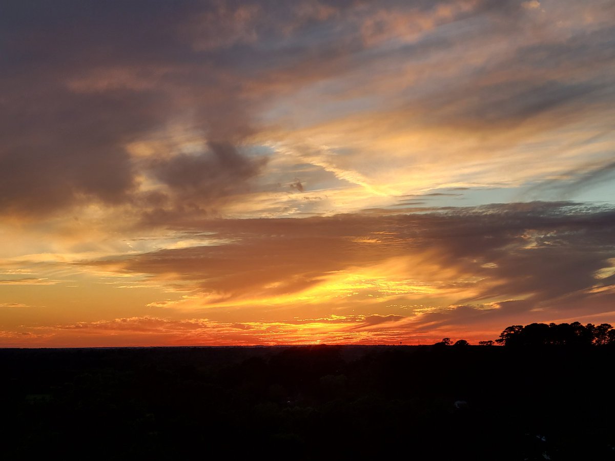 SHSU Lambda Alpha Epsilon - Delta Chi (@lambdaalphaeps1) on Twitter photo 