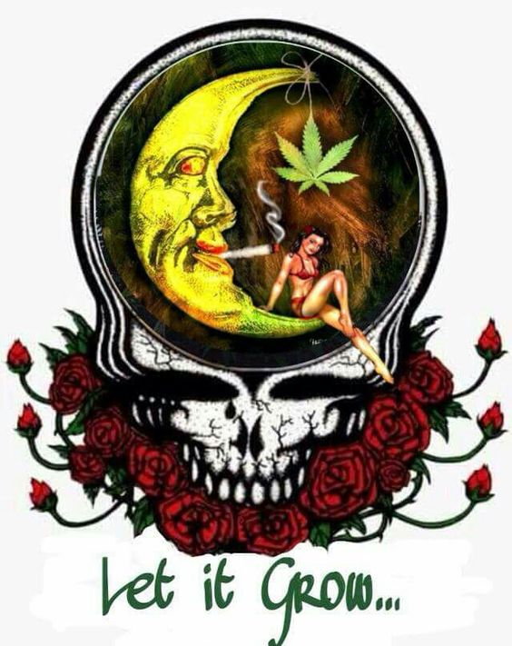 letsgetstoned00's tweet photo. 🎶Morning comes, she follows the path to the river shore
Lightly sung, her song is the latch on the morning's door
See the sun sparkle in the reeds, silver beads, pass into the sea🎶
#GDNA⚡️💀🌹#growyourown🌿 https://t.co/leffrXZpkP