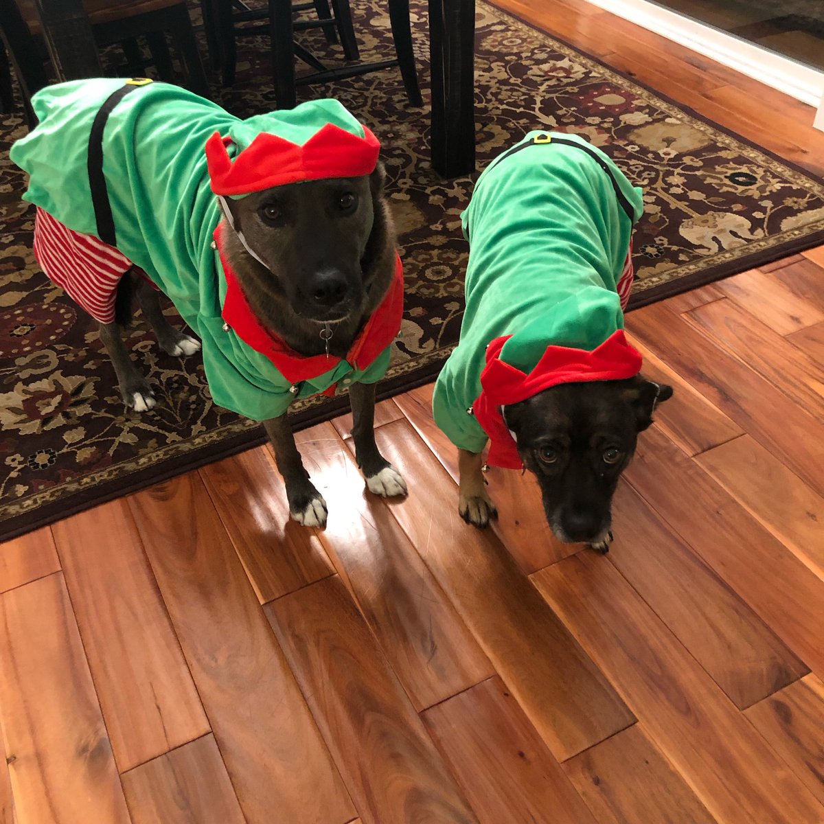 laurennmcfall's tweet photo. Someone needs to take my mother’s credit card away https://t.co/2fmBBx55UT