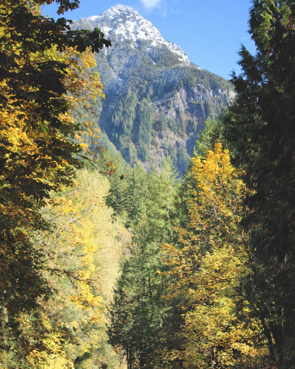 bhallerbc's tweet photo. Fresh snow up here. #weekenddrives #feelslikefall https://t.co/1UFT9SqnPc