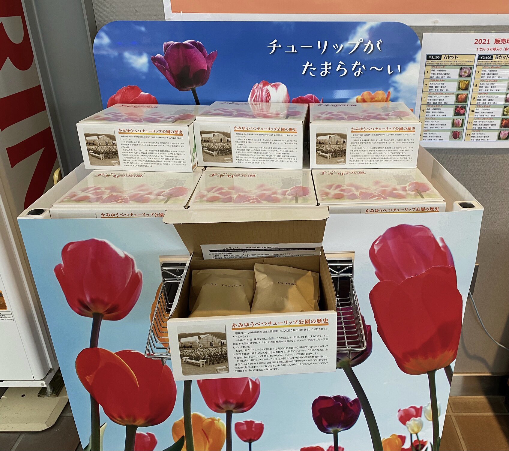 公式 かみゆうべつチューリップ公園 チューリップ球根販売のお知らせ 道の駅 かみゆうべつ温泉チューリップの湯にて チューリップ球根セット を販売中です 1セットに6品種5球ずつ 計30球入りです セットは3種類あります どの品種が入っている