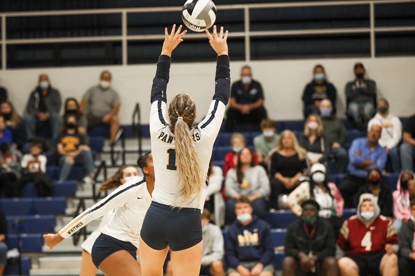 Whitmer Volleyball tweet media