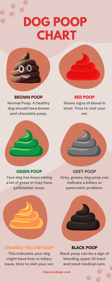 ImproveDogs's tweet photo. Regardless, Diarrhea can also be a clue of a more severe underlying disease such as allergies, bacterial or viral maladies, inflammatory intestinal infection, limb dysfunction, or additional systemic ailments.

Read more 👉 https://t.co/nVlAiIhZPf

#improvedogs #dogs #dog https://t.co/QSm7cq1x1V