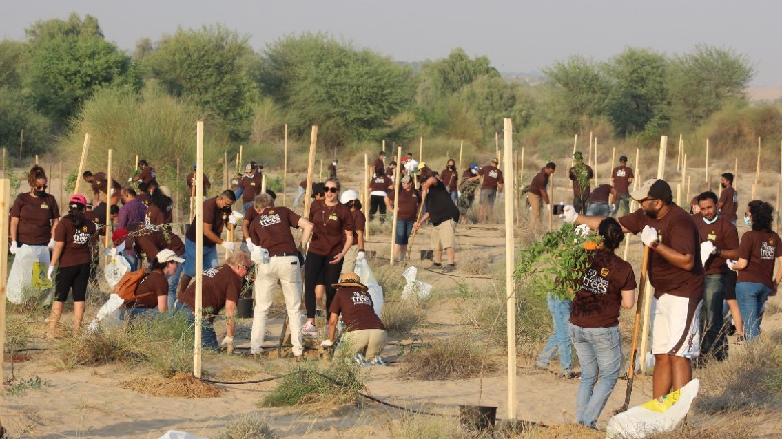 LauraLaneUSA's tweet photo. To kick off The @UPS_Foundation’s Forest of the Future initiative, more than 300 @UPSers came together yesterday to plant 750 trees in Dubai in partnership with @eegEmirates. The desert heat was no match for us 💪#ThisIsWhyIServe https://t.co/iSi2itZ2Hn