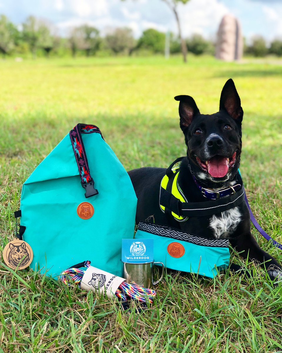 Alpha SAR (@alpha_sar) on Twitter photo With this <a href="/wilderdog/">Charles A. Friztke</a> Doggie Bag and Bowl, your dog is always ready for your next adventure! This food bag hold about 5lbs of kibble and folds flat when not in use for easy storage in any pack. Thank you Wilderdog for your donation!
#adventuredog #alphasar #SAR #alphacon21 With this <a href="/wilderdog/">Charles A. Friztke</a> Doggie Bag and Bowl, your dog is always ready for your next adventure! This food bag hold about 5lbs of kibble and folds flat when not in use for easy storage in any pack. Thank you Wilderdog for your donation!
#adventuredog #alphasar #SAR #alphacon21