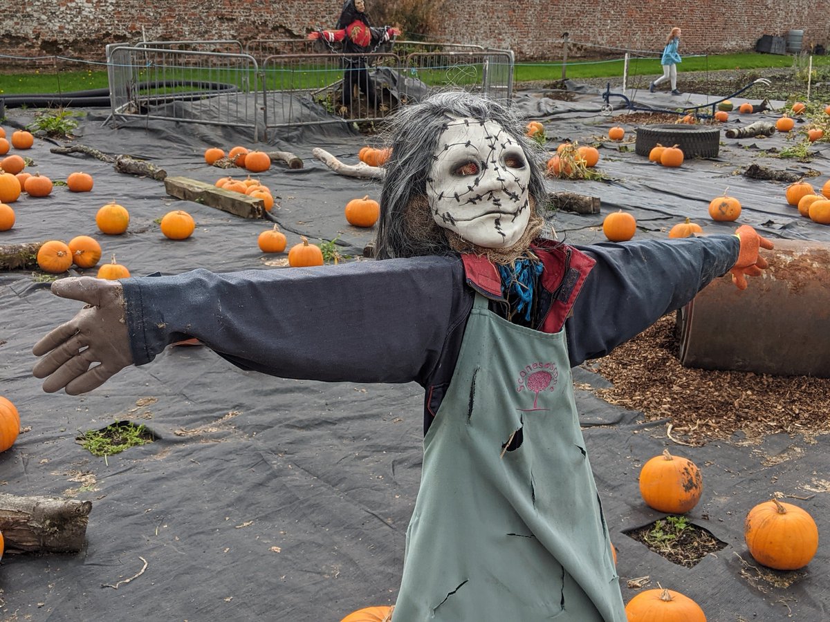 Pretty much the scariest scarecrow. It's the eyes