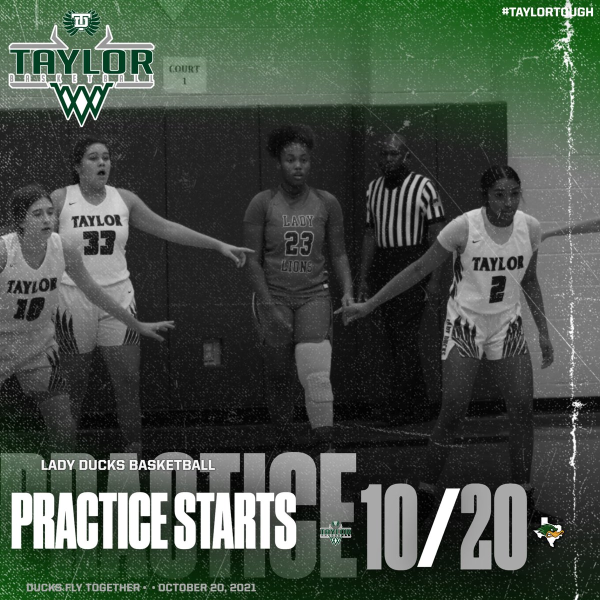 Taylor Ducks Athletics 🦆 (@taylorisdath) on Twitter photo 