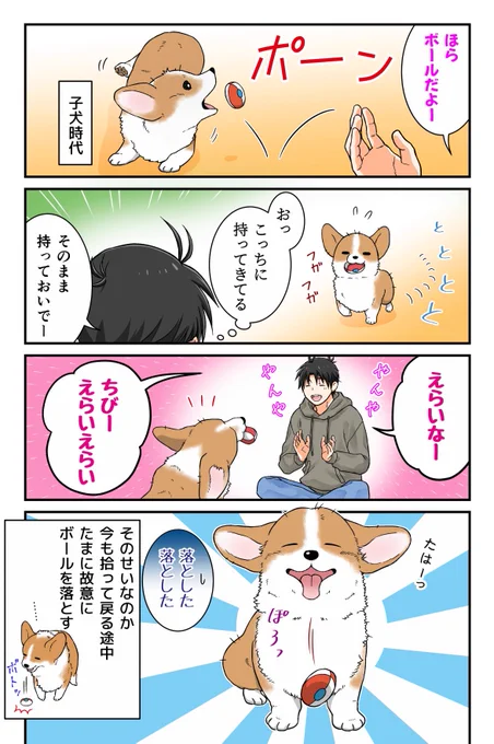 間違って覚えた犬 