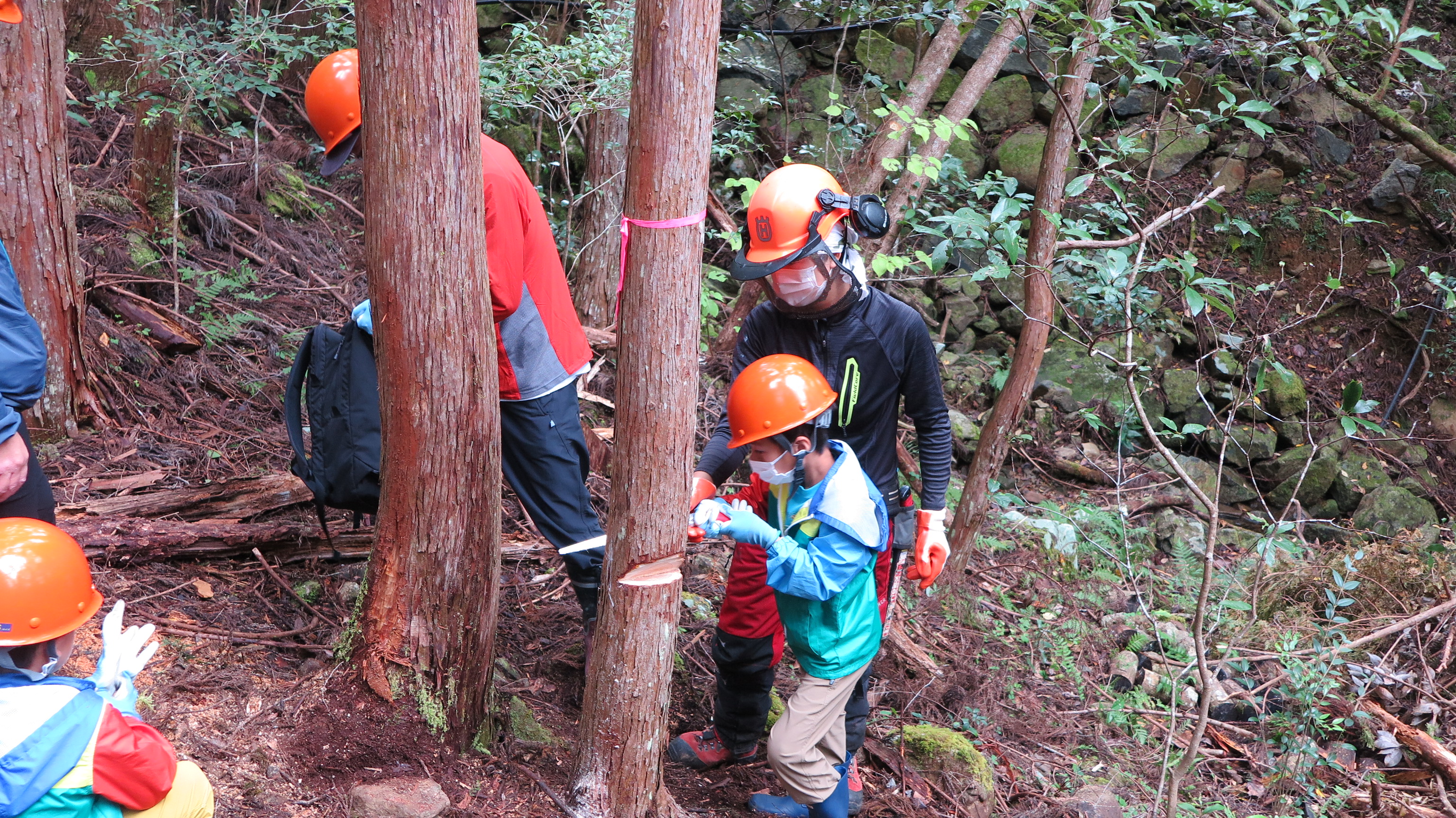 ばうむ合同会社 Baum Llc Twitter