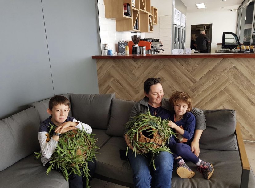 Leschenault CC (@leschenaultcc) on Twitter photo Have you registered to join our possum drey building workshop this weekend? We’ll be at the Leschenault Leisure Centre from 9am so come and learn how to build a possum drey and encourage the beautiful critters to find a home in your backyard! Email katrina.za@leschenaultcc.org.au Have you registered to join our possum drey building workshop this weekend? We’ll be at the Leschenault Leisure Centre from 9am so come and learn how to build a possum drey and encourage the beautiful critters to find a home in your backyard! Email katrina.za@leschenaultcc.org.au