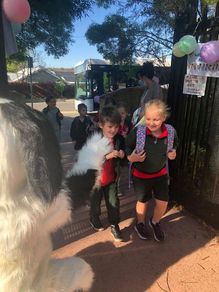 buxton_public's tweet photo. Welcome Back Kindergarten and Year 1. We are so excited to have you back at school @NSWEducation  @buxton_public #lovewhereyoulearn https://t.co/MoioghQsVo