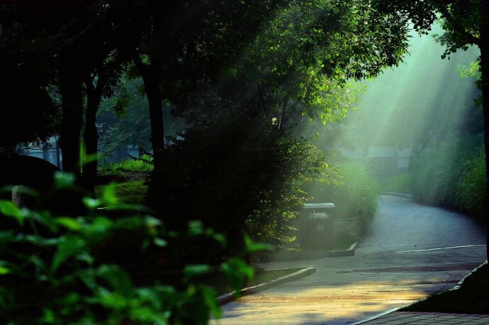 Embrace this beautiful morning