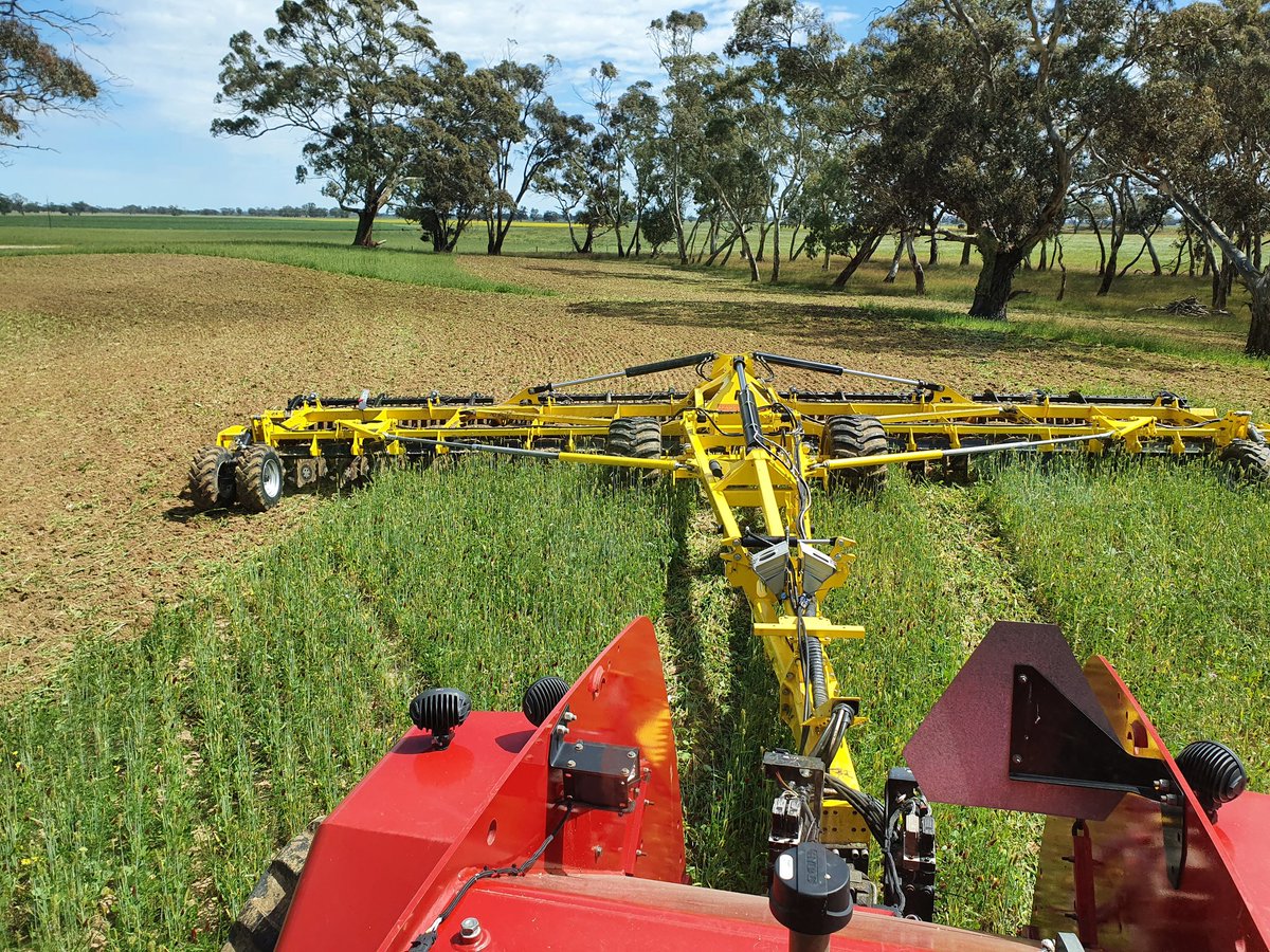 A bit more green manuring today.  Hit it with #swifterdisc first to start mix and break up clay that has been spread then see how the #Bednar #terraland goes at burying it at depth vs #spader.