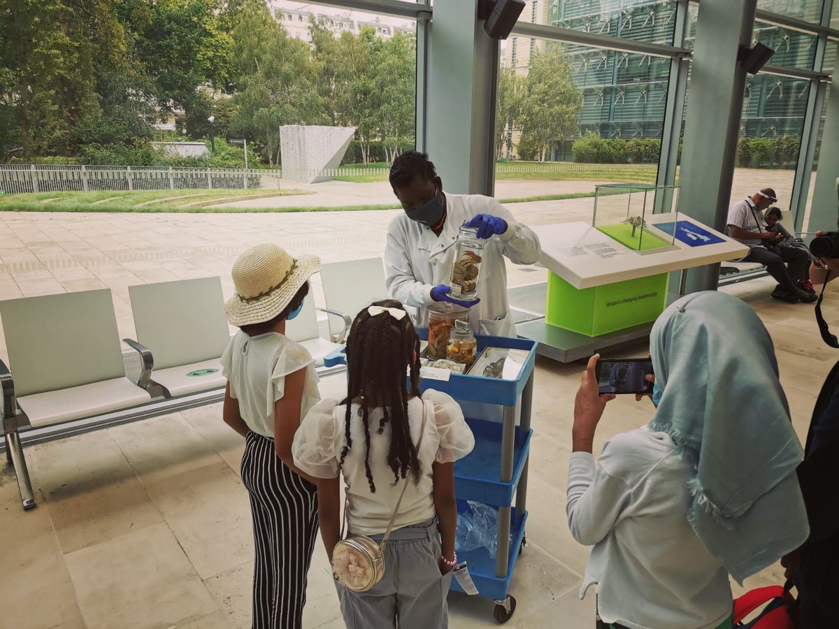 Miranda Lowe tweet media