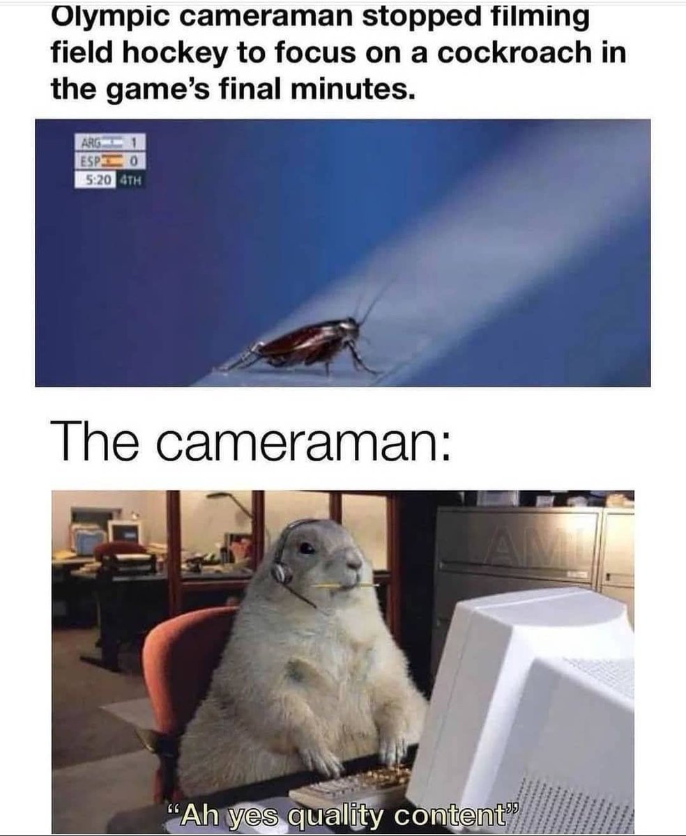 Edgy4Humor's tweet image. Typical quality content!