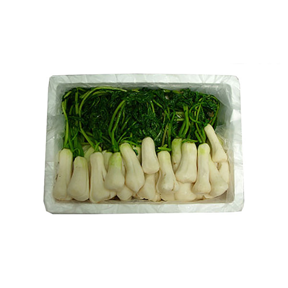 안녕하세요~

가정에서 조금씩 담가 드시는 분들을 위해 준비했습니다

천연재배로 자연의 맛을 그대로 즐기실 수 있는 절임 알타리!

80일간 정성스럽게 키워 육질이 단단하며, 섬유질이 발달되어 있기때문에 익어도 아삭아삭 맛있는 무를 맛보실 수 있습니다

소개 페이지 : jnopen.com/155420