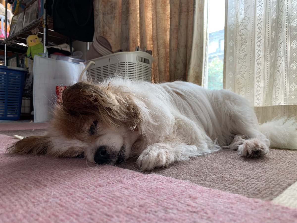 まあ K More Twitter