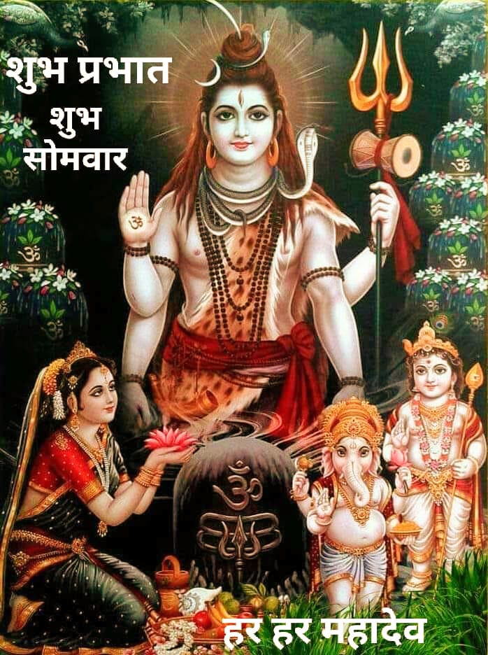 человек на фоне солнца. св паисий святогорец поучения. уважать бога. просить прощения на колента. цитаты святых.