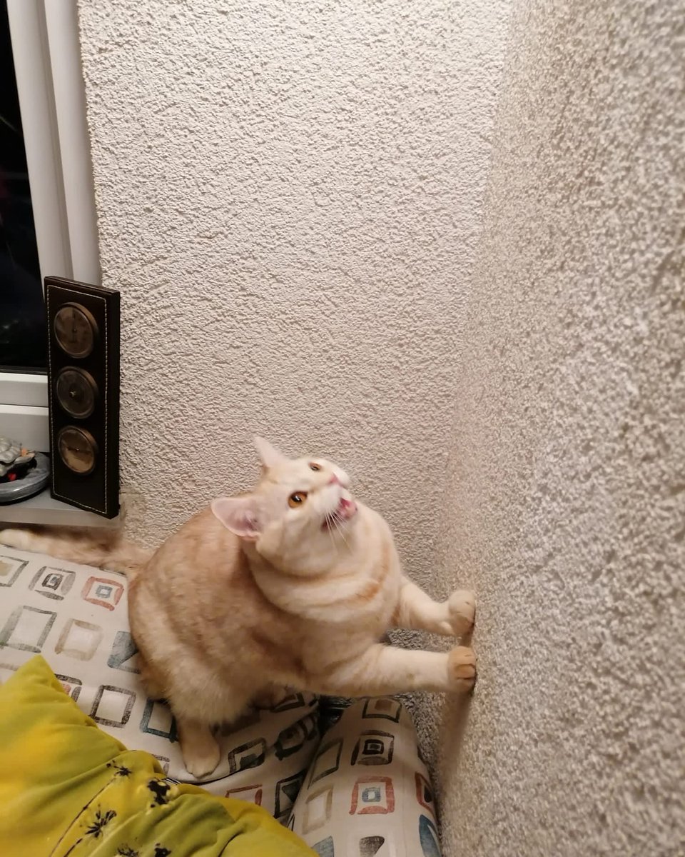 DimitriWischnev's tweet image. #BugFighter #OnMission #DestrooooyEveerythiiing😼😼😼🤟😼