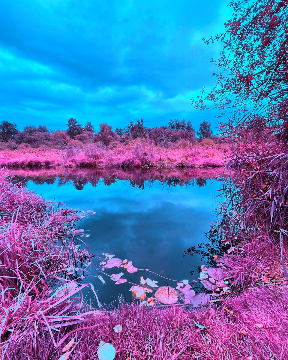 RobertPacey's tweet photo. Still Creek #infrared
#paceyinfra #infraland #infraredlandscape #infrarediphone #infraredofinstagram https://t.co/2QLosFMlcK