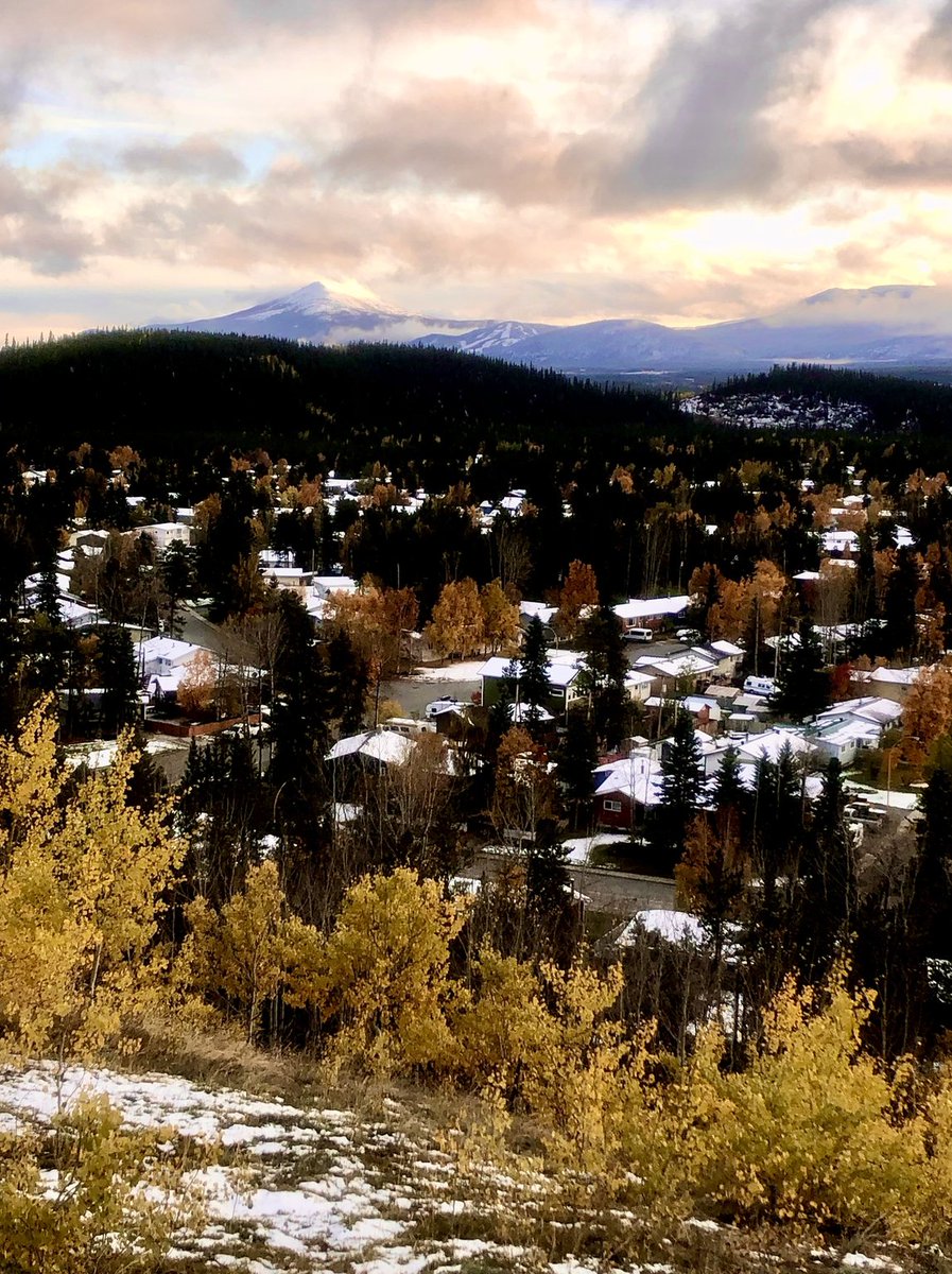 Do you have a strong background and qualifications in teaching students with autism?  We are seeking an Autism Itinerant teacher in beautiful Whitehorse, Yukon Territory!  Join us

network.applytoeducation.com/Applicant/AttJ…

#onted #nled #nsed #bced #Autism #abed #mbed
