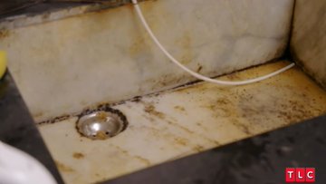 BrowertiKoffah's tweet photo. #90DayFiance #90dayfiancetheotherway 
Sumit's mom isn't wrong thou...their kitchen is disgusting. Omg, nasty!!! Why do people live like this???!! This is where you make your food!!!! https://t.co/6yd7DArJY3