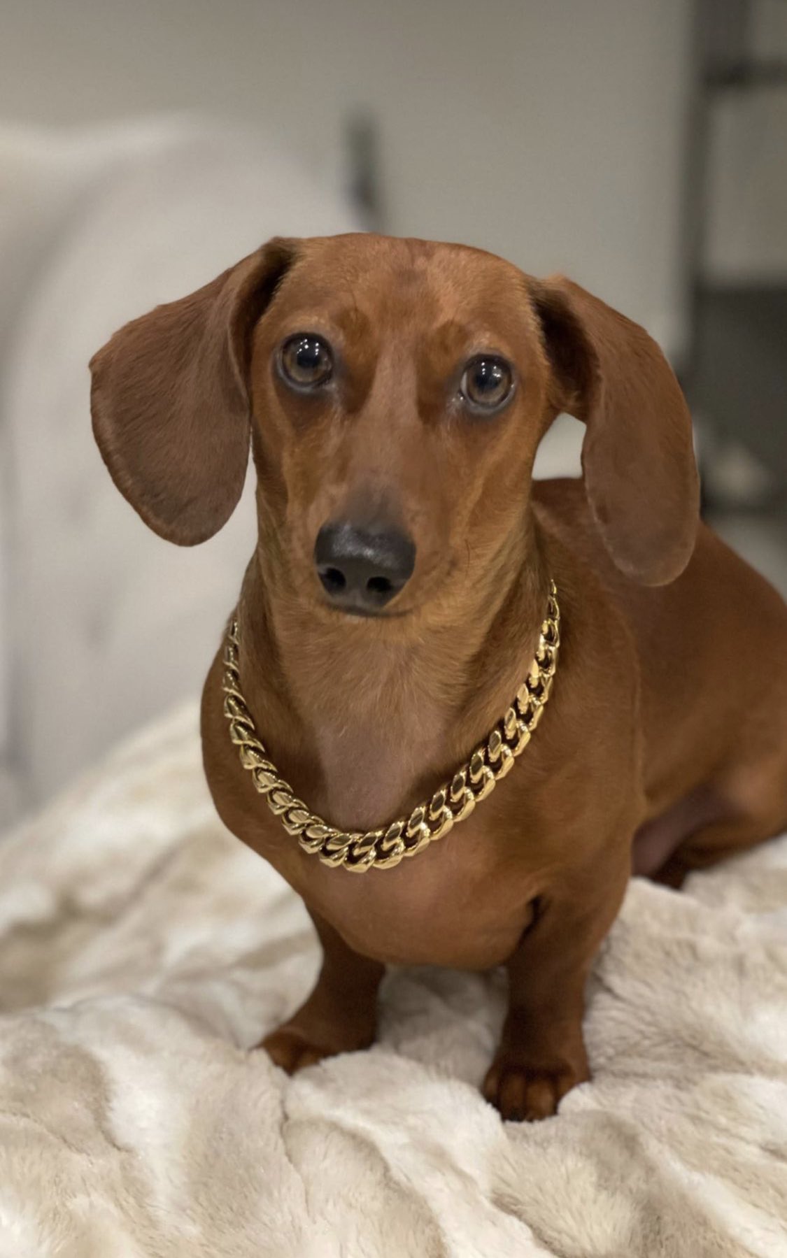 Anthony Rizzo is a Broh!!! Used the Kevin (his dog) to make sure Aaron