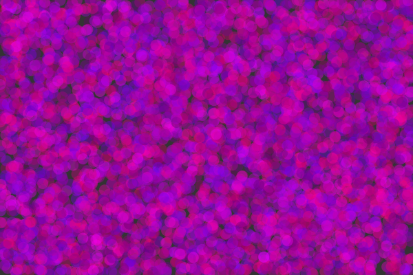 Frank_Junoh_Yu's tweet image. #codingrainbow love from node.js
