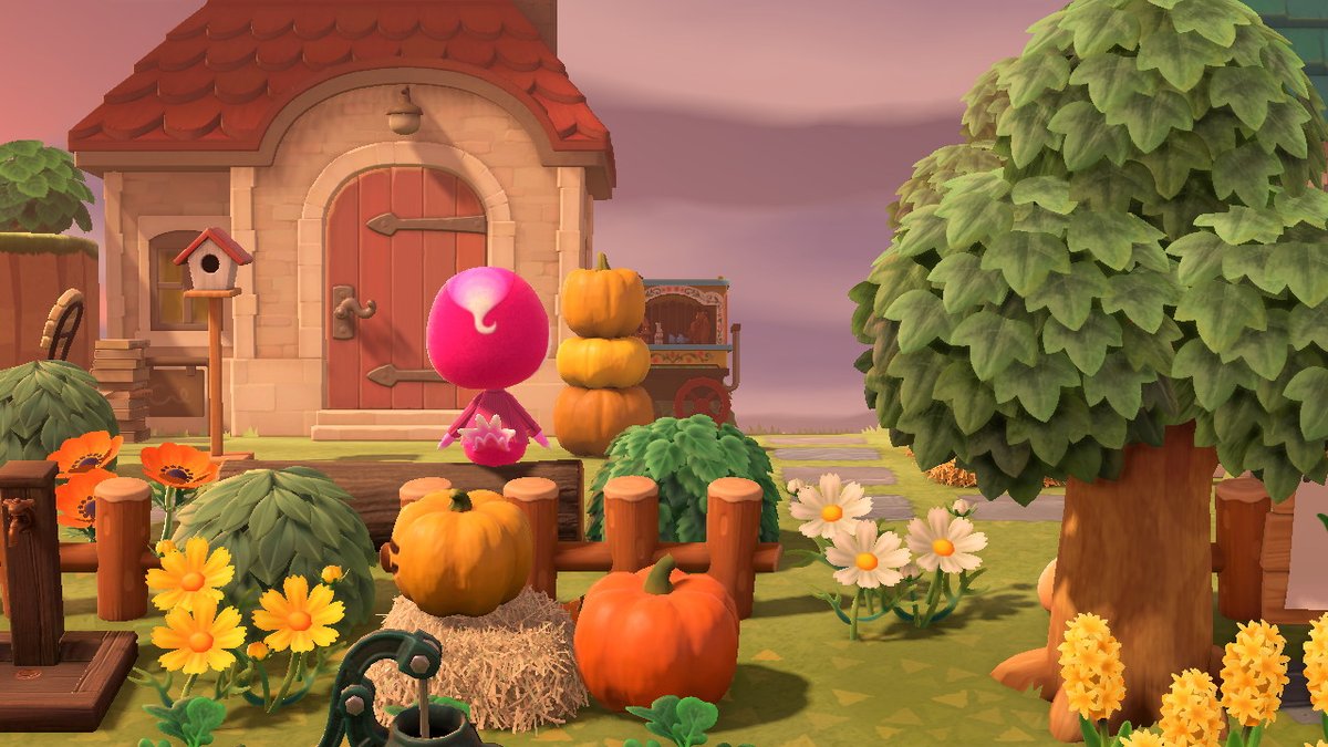 jacquihag's tweet photo. cant wait for the update so i can make this a functional farm ! #AnimalCrossing #ACNH #NintendoSwitch https://t.co/32li8oyERO