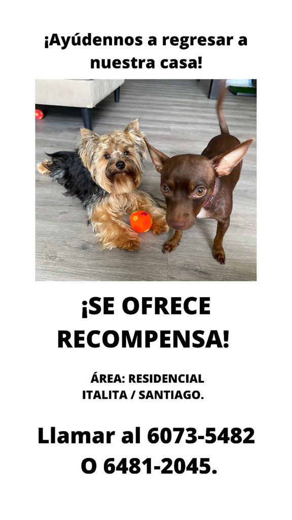 MilagrosVianeth's tweet photo. POR FAVOR AYÚDENNOS A COMPARTIR ESTAMOS DESESPERADOS😭😭 https://t.co/r9W8UGSNMn