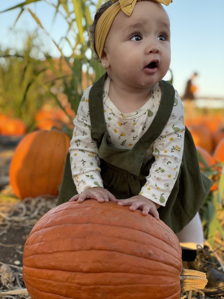 birdiee316's tweet photo. My daughter is so perfect 🥺 https://t.co/aPluC7XVJ4