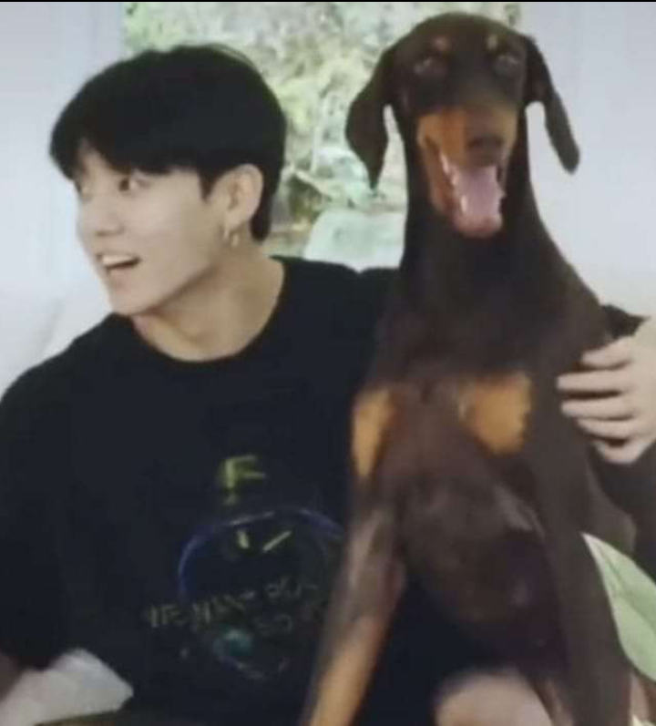 ARMY'ler geleceği görebiliyorlar.😂