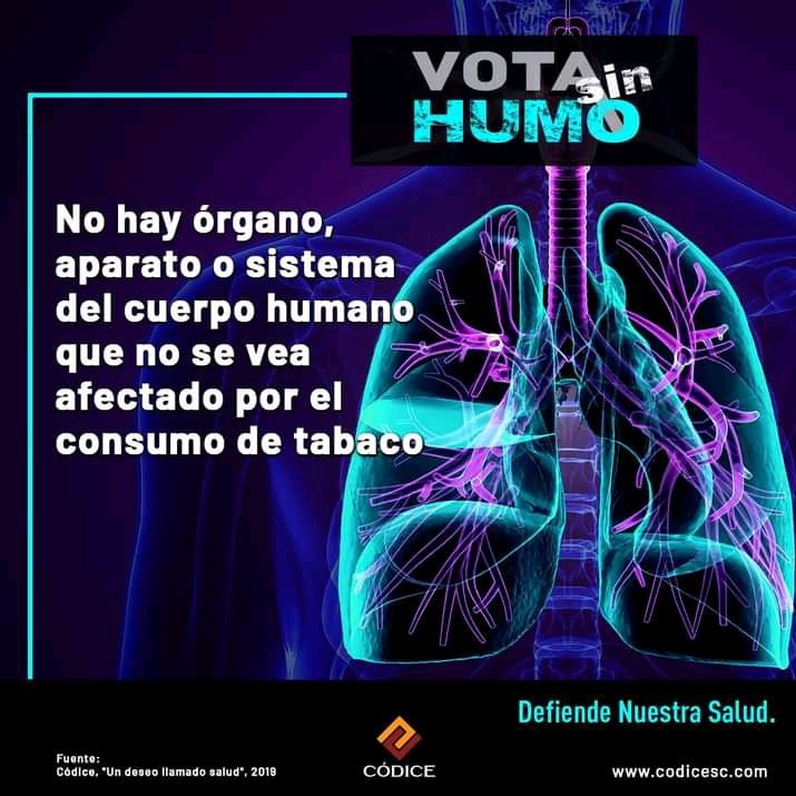 CodiceZacatecas's tweet photo. Crear alianza con la industria tabacalera es un terrorismo hacia la humanidad #VotaSinHumo https://t.co/nl2v587lc6