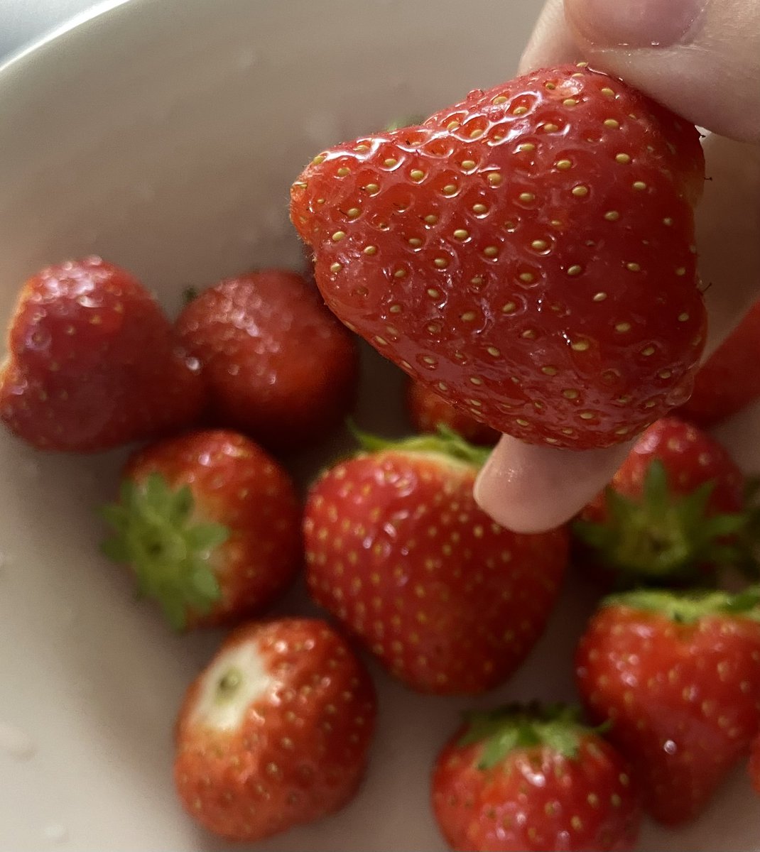 Senle_WWW's tweet photo. End the day with sweet strawberry🍓
I need sleep🥲 https://t.co/juOwkW5OF5