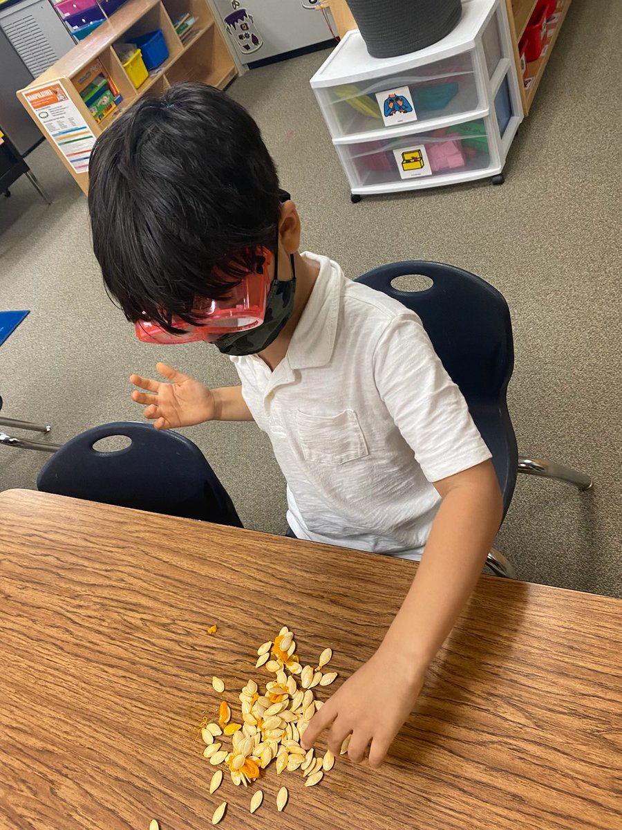 Ashley Tomlin tweet media