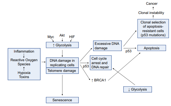 Parsifaler's tweet photo. 1) PATHOGENIC SUMMATION
Pulmonary Arterial Hypertension: The Compass of COVID-19
Human Pulmonary Arterial Hypertension Viral Syndrome (H-PAHVS)
This thing, what is it in itself, in its own constitution? What is its substance and material? – Marcus Aurelius
We have now observed https://t.co/49uaAtqYKX