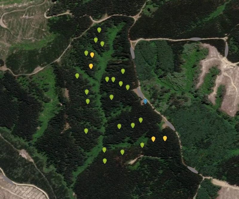 inFactLtd's tweet photo. Well done Dean, Priscilla and the @Scion team.  A significant undertaking for both our science and engineering teams and clear demonstration of what can be achieved when industry partners collaborate with research science.  #ForestFlowsNZ #ForestFlows #IoT https://t.co/cVC5dHa2If