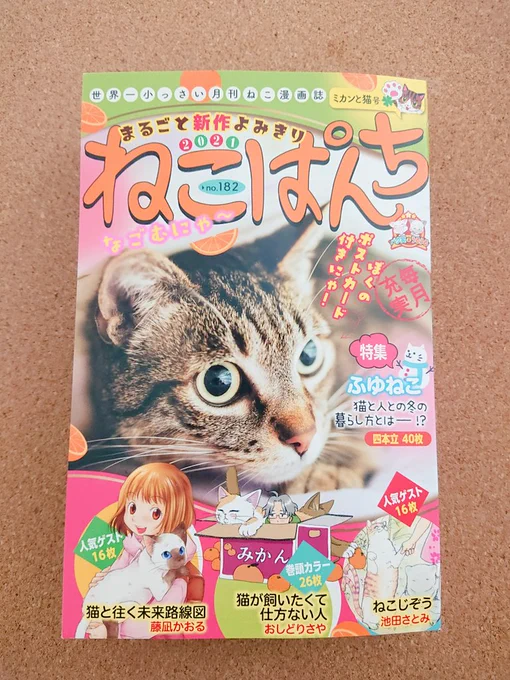 今日発売のねこぱんちに読み切り載ってます～
9年前に「いわてマンガ大賞」て入賞した作品。
思い入れのある作品ではあるんだけと、まさかデビュー前の作品が今になって載るなんて思ってなかっただわよ。。
そして来月号には新作の読み切り載ります。
なんというかそのよろしくお願いします。 