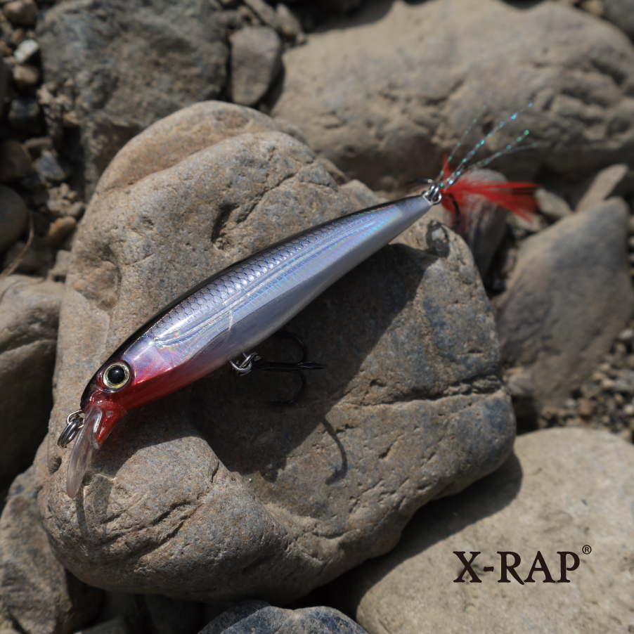 エックスラップ