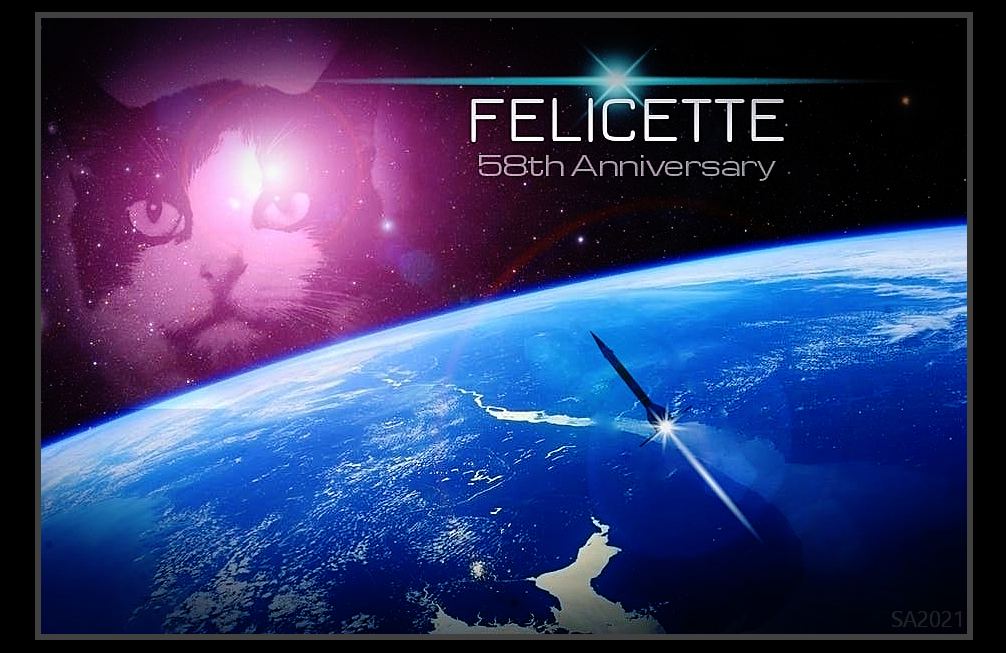 Today is the 58th anniversary of the flight of #Felicette the first - and only - cat to have flown into space. I'm on a mission to make more people aware of her story, so I hope you'll follow the hashtag #Felicette for info &amp; links. Let's make this Felicette Day :-)