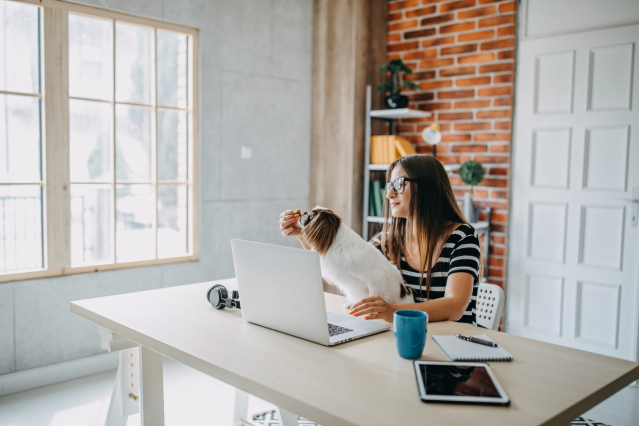 Christine Hodges tweet media