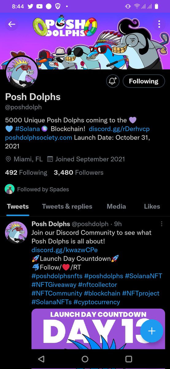 BrahimMadah's tweet photo. @NFTFreeGiveaway @poshdolph @LadyCryptonic @DrogCrypto @Teslarati https://t.co/PgdT2gLVuF