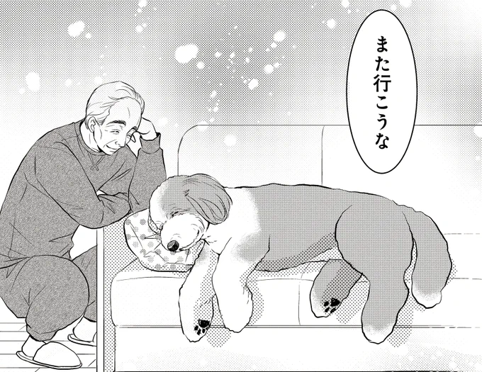 /
#DOGSIGNAL が11時11分をお知らせします🐶
\

今日も1日お疲れさまでした😀
今日の癒やしの1コマは気持ちよさそうに眠るオールド・イングリッシュ・シープドッグのリボンちゃん✨

それでは明日も
#DOGSIGNAL をよろしくお願いします🐩 