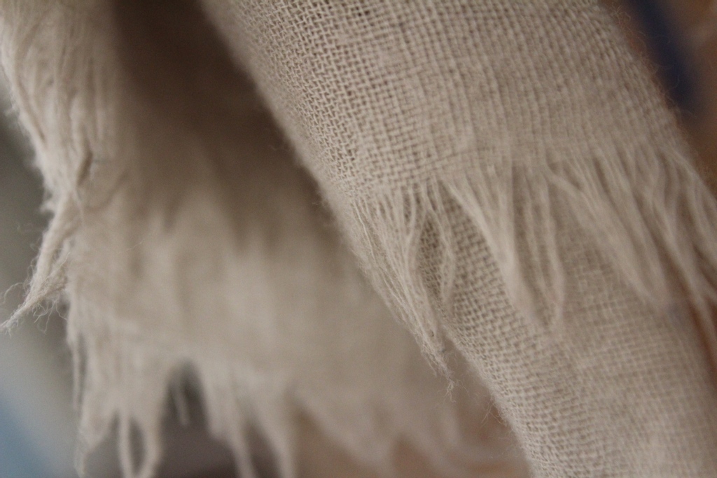 In Focus tweet media